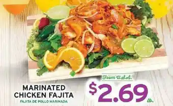 Marinated Chicken Fajita