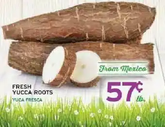 Fresh Yucca Roots