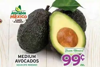 Medium Avocados