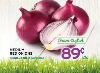 Ideal Market Medium Red Onions offer