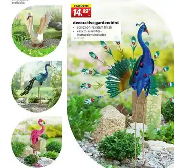 Lidl Decorative Garden Bird offer