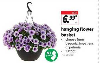 Lidl Hanging Flower Basket offer