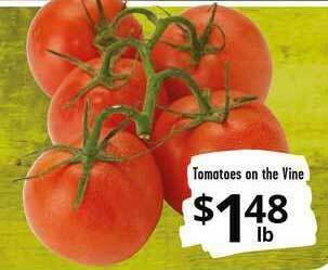 Tomatoes On The Vine