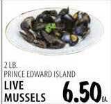 Karns Live Mussels offer