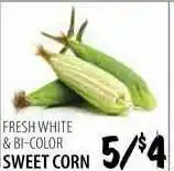Sweet Corn