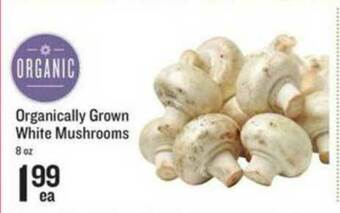 Lowes Foods Organically Grown White Mushrooms offer
