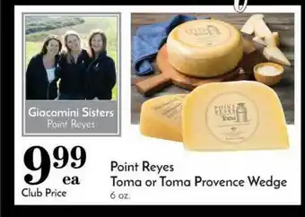 Pavilions Point Reyes Toma Or Toma Provence Wedge offer