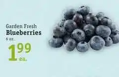 Blueberries