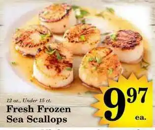 Harvest Foods Fresh Frozen Sea Scallops offer