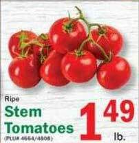 Stem Tomatoes