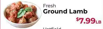 Roche Bros Fresh Ground Lamb offer