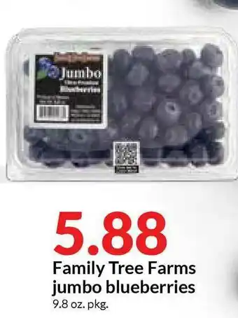 Hy-Vee Family Tree Farms Jumbo Blueberries offer
