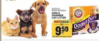 Food Lion Arm & Hammer Cat Litter offer