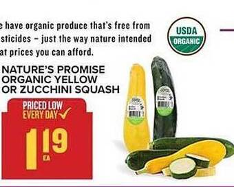 Food Lion Nature's Promise Organic Yellow Or Zucchini Squash offer