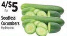 Seedless Cucumbers