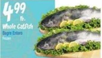 Food City Whole Catfish offer