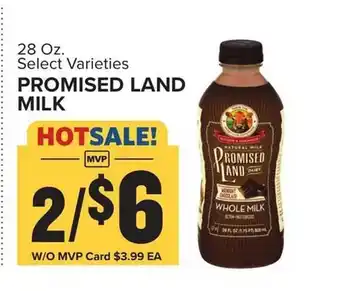Food Lion Promised Land Milk offer