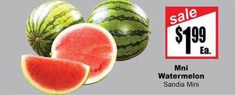 Rancho Markets Mini Watermelon offer
