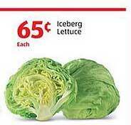 Iceberg Lettuce