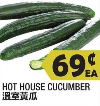 99 Ranch Hot House Cucumber offer