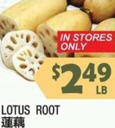 Lotus Root