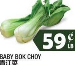 99 Ranch Baby Bok Choy offer