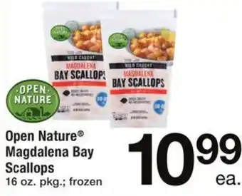 Safeway Magdalena Bay Scallops 16 oz. offer
