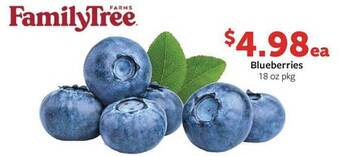Fareway Blueberries offer