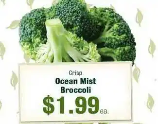 Robert Fresh Market Ocean Mist Broccoli offer