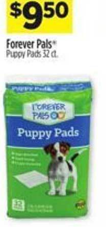 Dollar General Forever Pals Puppy Pads 32 Ct offer
