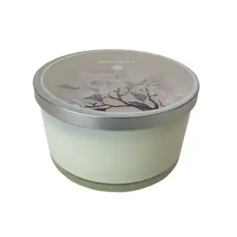 Stein Mart Pier 1 magnolia blooms 14oz filled 3-wick candle offer