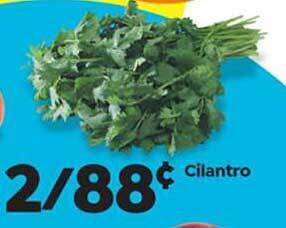 Save a Lot Cilantro offer
