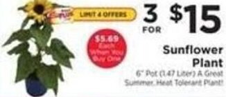 ShopRite Sunflower Plant offer