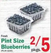 Food Bazaar Fresh Pint Size Bluebberies offer