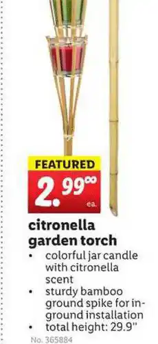 Lidl Citronella Garden Torch offer
