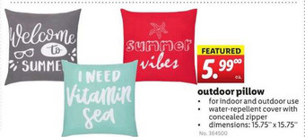 Lidl Outdoor Pillow offer
