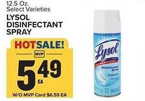 Food Lion Lysol Disinfectant Spray offer