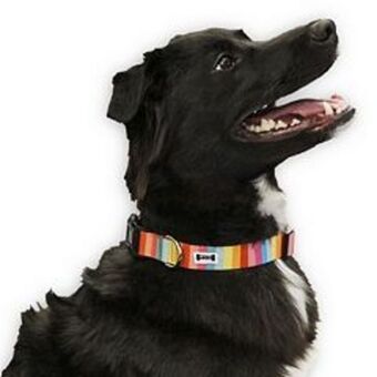 Kohl's Woof rainbow dog collar offer