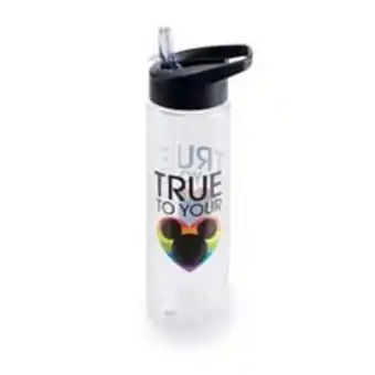 Kohl's Disney mickey mouse pride water bottle offer