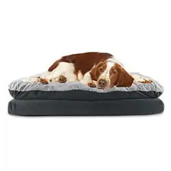 Kohl's Canine creations pillow topper dog pet bed offer