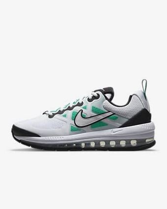 Nike air max genome