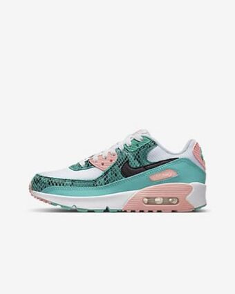 Nike Nike air max 90 offer