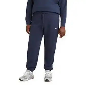 Kohl's Big & tall levi's® jogger sweatpants offer