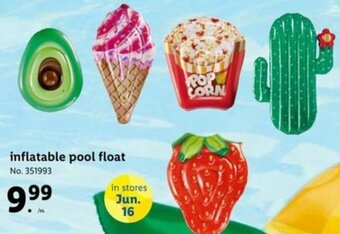 Inflatable Pool Float