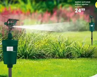 Lidl Motion Activated Animal Repeller offer