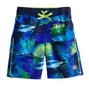 Kohl's Boys 4-8 zeroxposur swim shorts offer