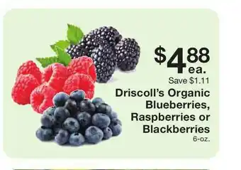 Fairway Store Market Driscoll's Organic Blueberries , Raspberries Or Blackberries offer
