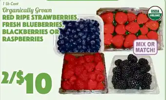 The Food Emporium Organically Grown Red Ripe Strawberries , Fresh Blueberries , Blackberries Or Raspberries offer