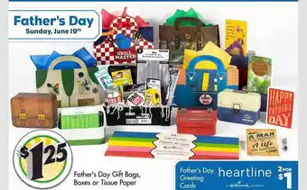 Dollar Tree Father's Day Gift Bags, Boxes Or Tissue Paper offer