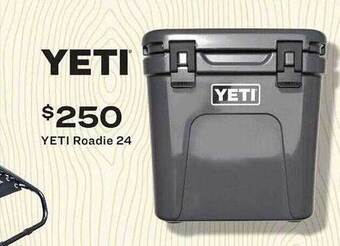 Academy Yeti Roadie 24 offer